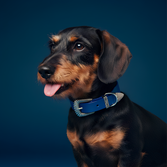 Collier Rodéo - Cuir Bleu