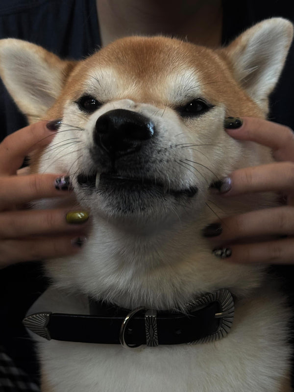 COMMENT LE PORTER ?