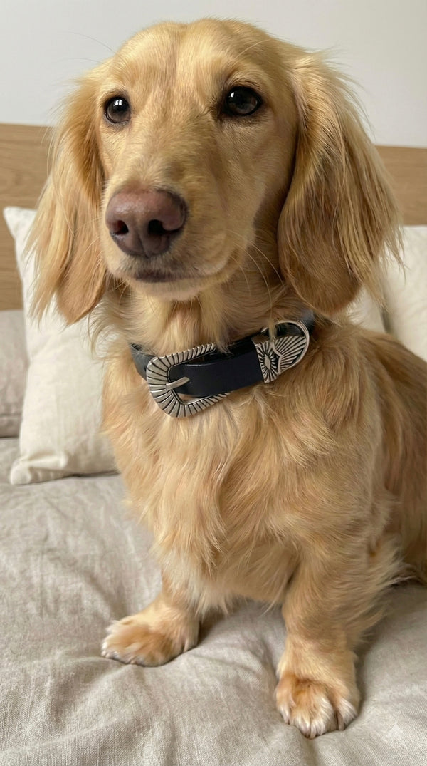 COMMENT LE PORTER ?