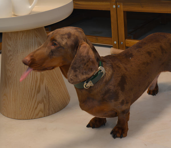 COMMENT LE PORTER ?