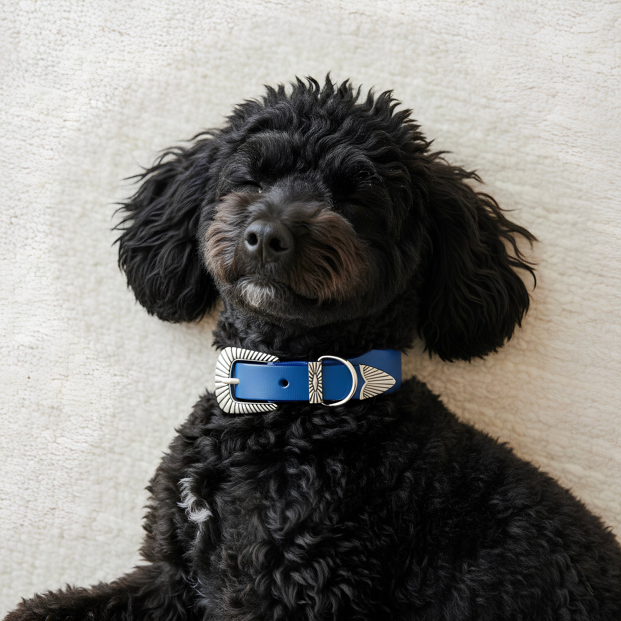 Collier Rodéo - Cuir Bleu