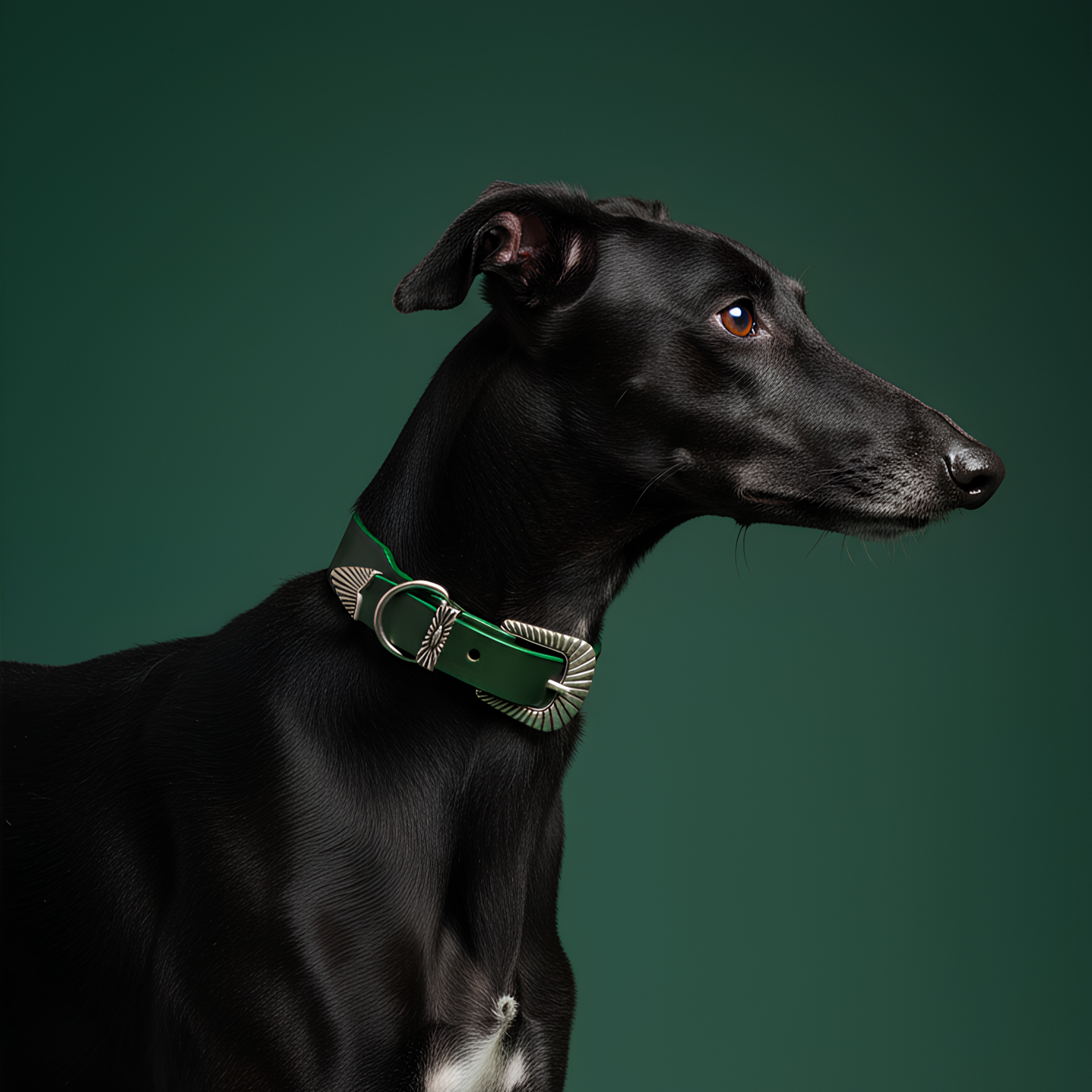 Collier Rodéo - Cuir Vert