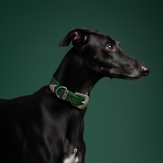 Collier Rodéo - Cuir Vert