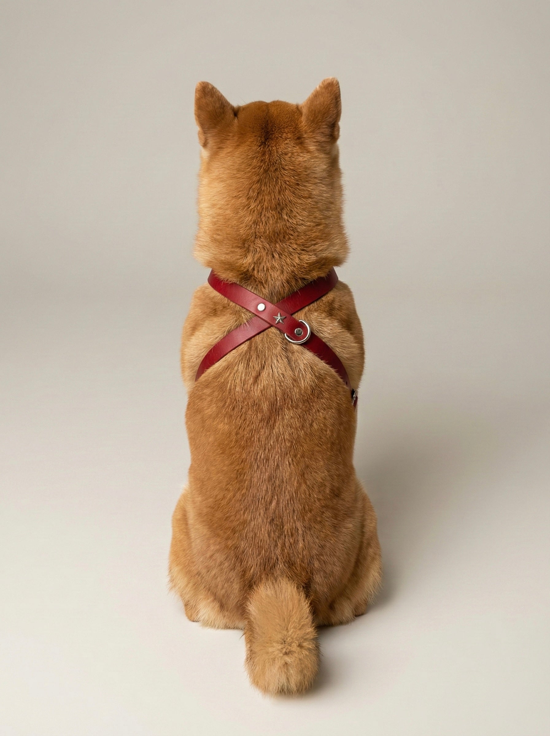 Harnais Rodeo - Rouge