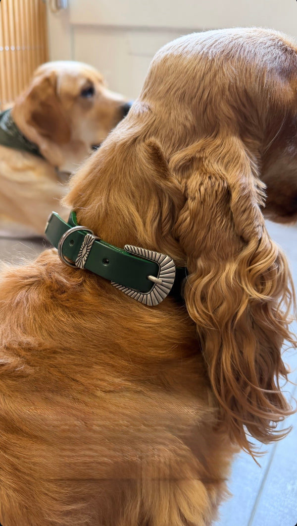 COMMENT LE PORTER ?