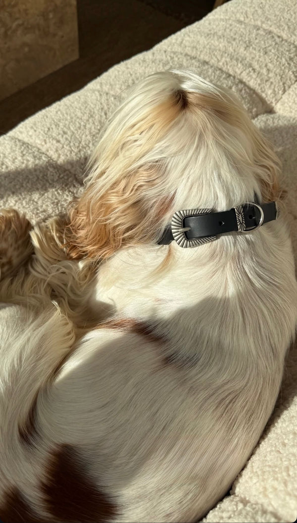 COMMENT LE PORTER ?