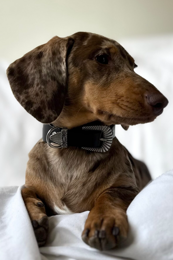 COMMENT LE PORTER ?