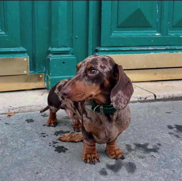 COMMENT LE PORTER ?