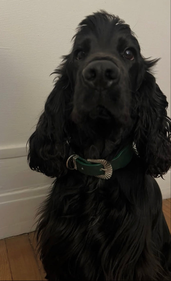 COMMENT LE PORTER ?