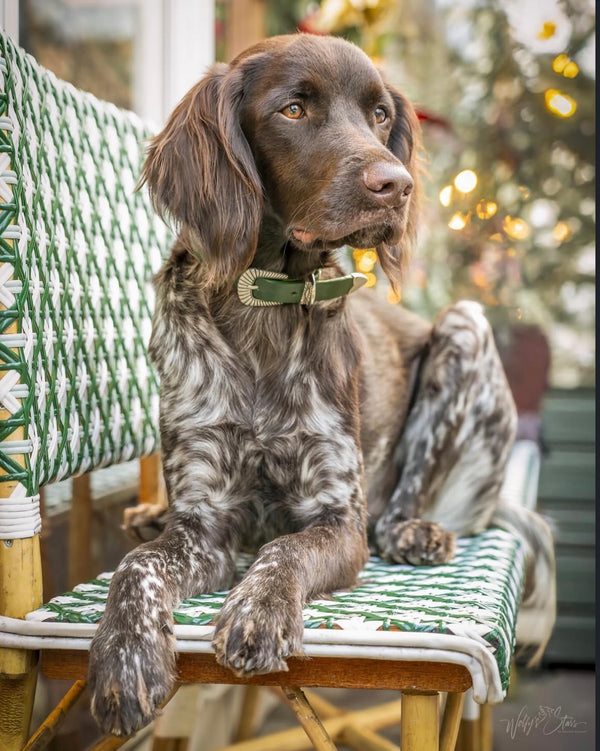 COMMENT LE PORTER ?