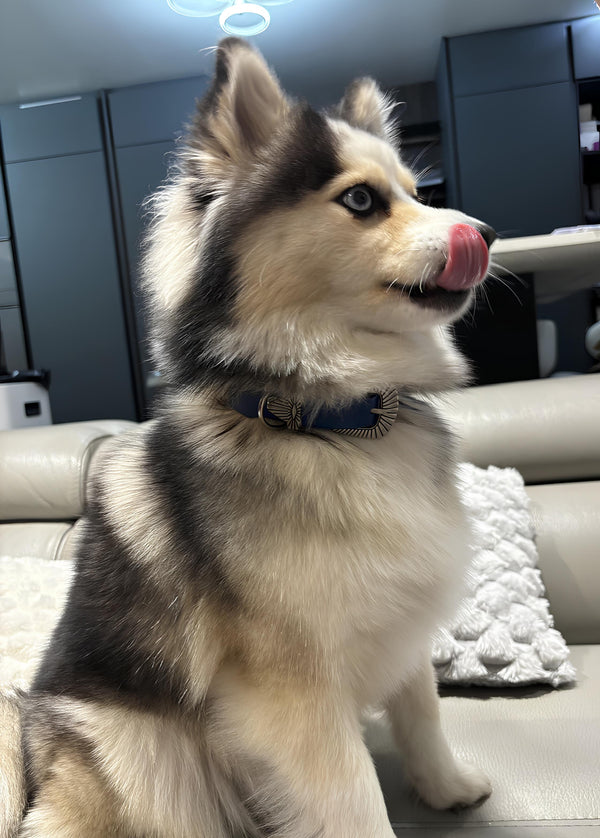 COMMENT LE PORTER ?