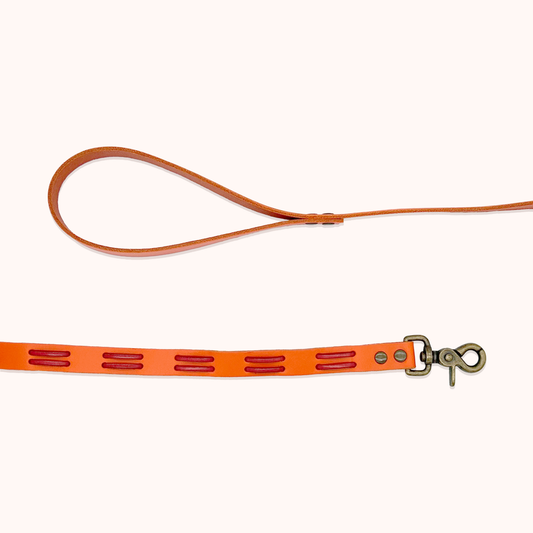 Laisse Indienne - Orange